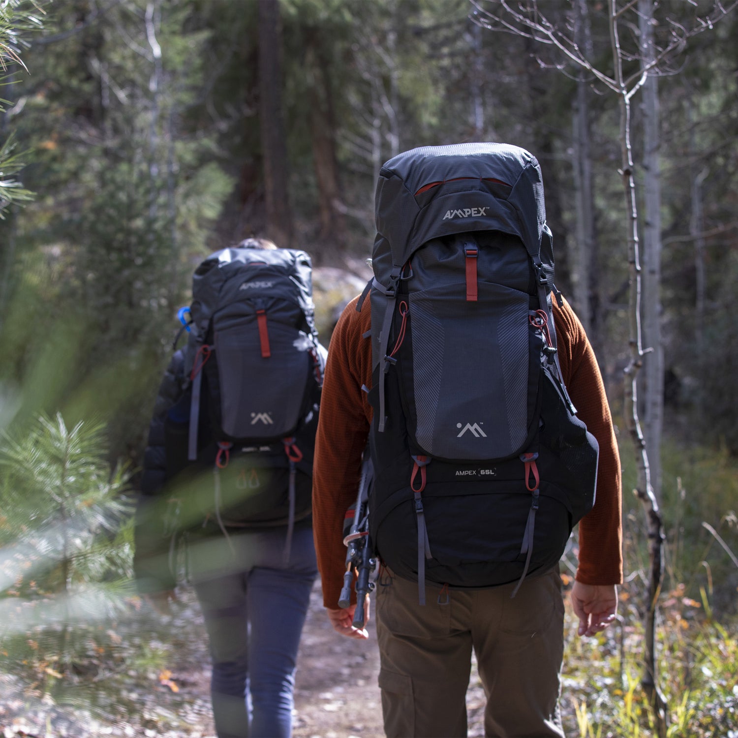 Person wearing the Ampex backpack while hiking on a forest trail.